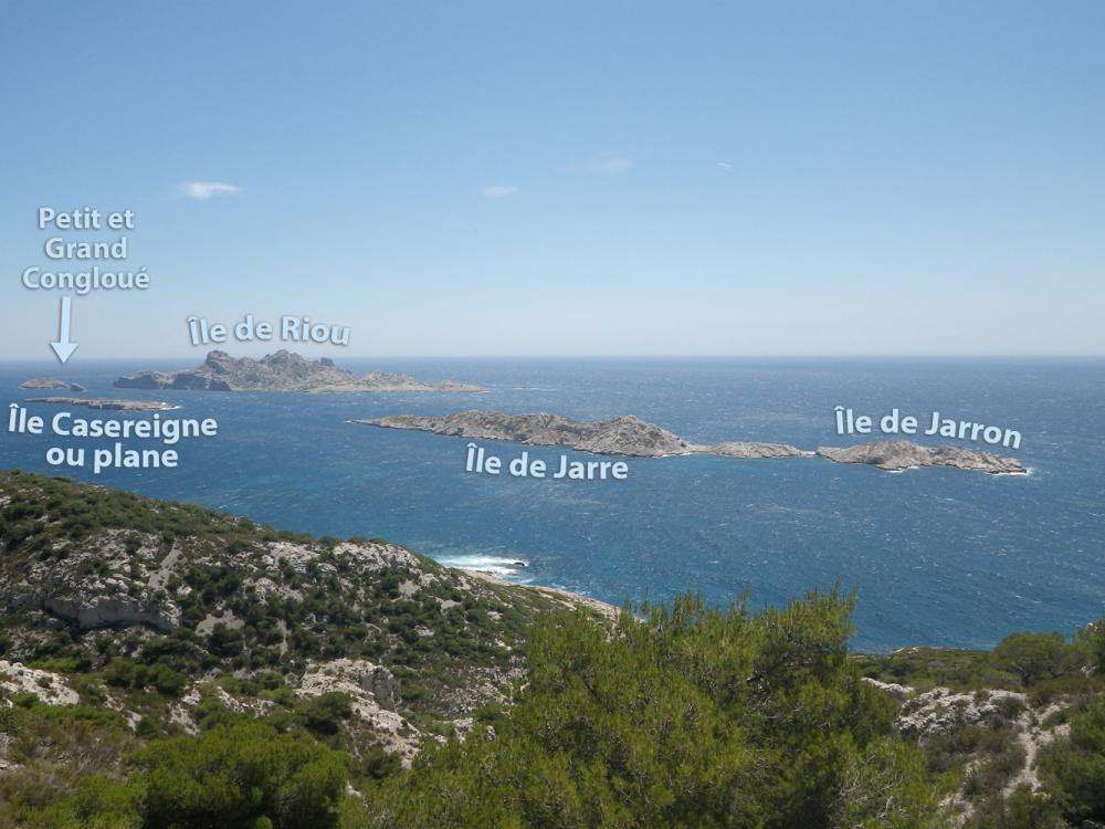 Île Casereigne ou Plane : l'Archipel de Riou