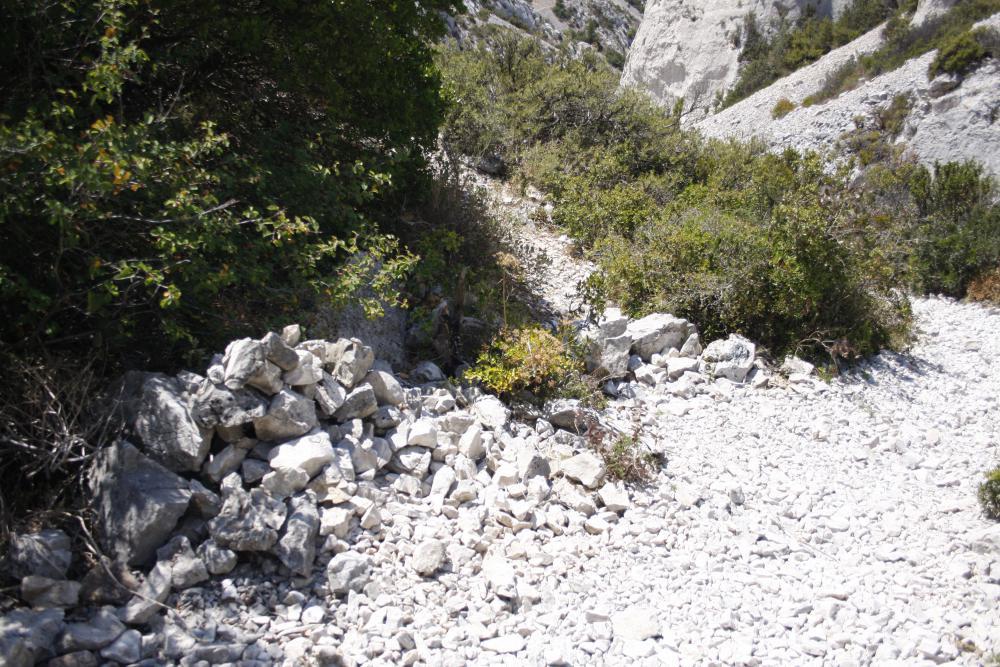 Col de la Lèbre : vue repère de la bifurcation menant au Col de la Lèbre à partir du sentier 4 vert